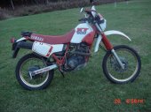 1989 Yamaha XT 600 photo